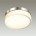 Настенно-потолочный светильник Odeon Light Rima 4680/18CL