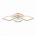 Потолочная светодиодная люстра Evoled Samuro SLE500112-04RGB