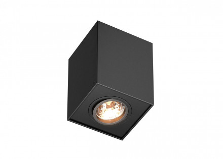 Потолочный светильник Zumaline Quadro 89200-BK