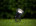 Ландшафтный светодиодный светильник Paulmann Special Line Garden Spot 98896