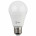 Лампа светодиодная ЭРА E27 13W 2700K матовая LED A60-13W-827-E27 Б0020536