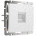 Розетка Werkel Hammer Ethernet RJ-45 белый W1281001 4690389163029
