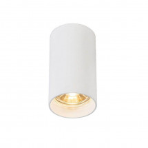 Потолочный светильник Zumaline Tuba sl 1 white 92679