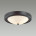 Настенно-потолочный светильник Lumion Nina 5260/2C