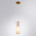 Подвесной светильник Arte Lamp Aries A8983SP-1PB