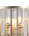 Настенный светильник Lumien Hall Кароль 0003/2W-SRGD-CL