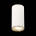 Потолочный светильник ST Luce Chomus ST111.537.01