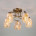 Потолочный светильник Eurosvet 30124/5 античная бронза