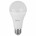 Лампа светодиодная ЭРА E27 25W 2700K матовая LED A65-25W-827-E27 Б0035334