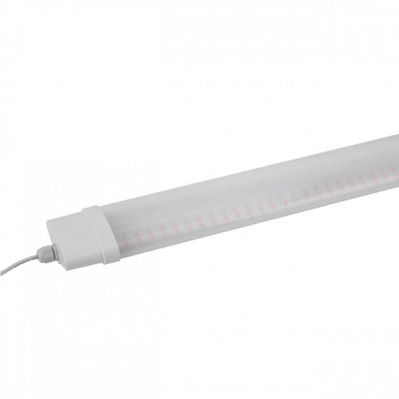Настенный светодиодный светильник ЭРА Prom Fito-36W-RB-N Б0045697