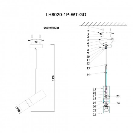 Подвесной светильник Lumien Hall Саурис LH8020/1P-WT-GD