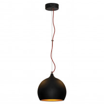 Подвесной светильник Lussole Loft LSN-6116-01