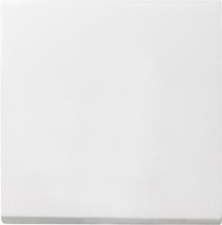Лицевая панель Gira System 55 выключателя одноклавишного чисто-белый шелковисто-матовый 029627