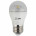 Лампа светодиодная ЭРА E27 7W 2700K прозрачная LED P45-7W-827-E27-Clear Б0017243