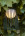 Переносной светодиодный фонарь Lucide Fjara аккумуляторный 250х175 30лм 06801/01/30