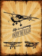 Картина на мдф Ekoramka 30x40 ENJOY THE FLIGHT ME-105-140